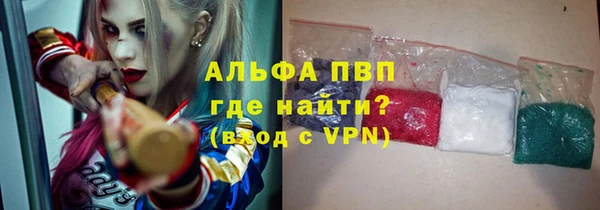 индика Киреевск