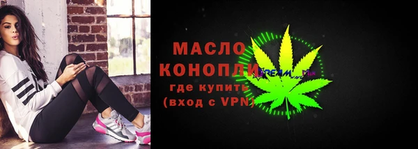 индика Киреевск