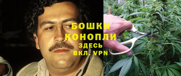 индика Киреевск