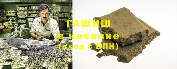индика Киреевск