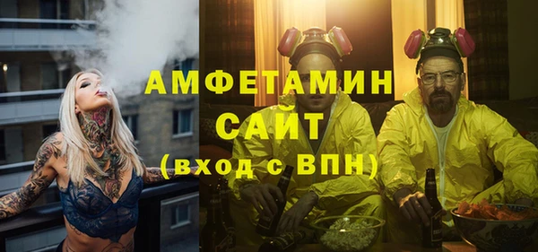 индика Киреевск