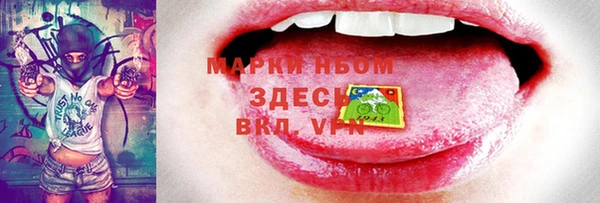 индика Киреевск