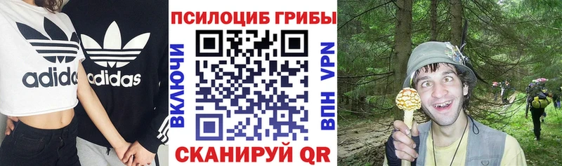 Псилоцибиновые грибы ЛСД  наркота  Щёлкино 